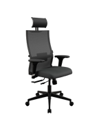 Metal Frame Ergo 5 Executive Chair SynchroSit Air 24/7 B2-287D - Italy+UMF(X1)