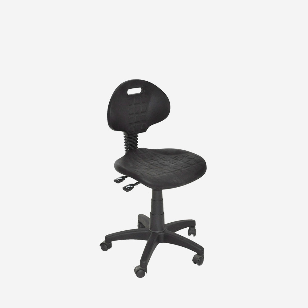 Tulip Black Back
