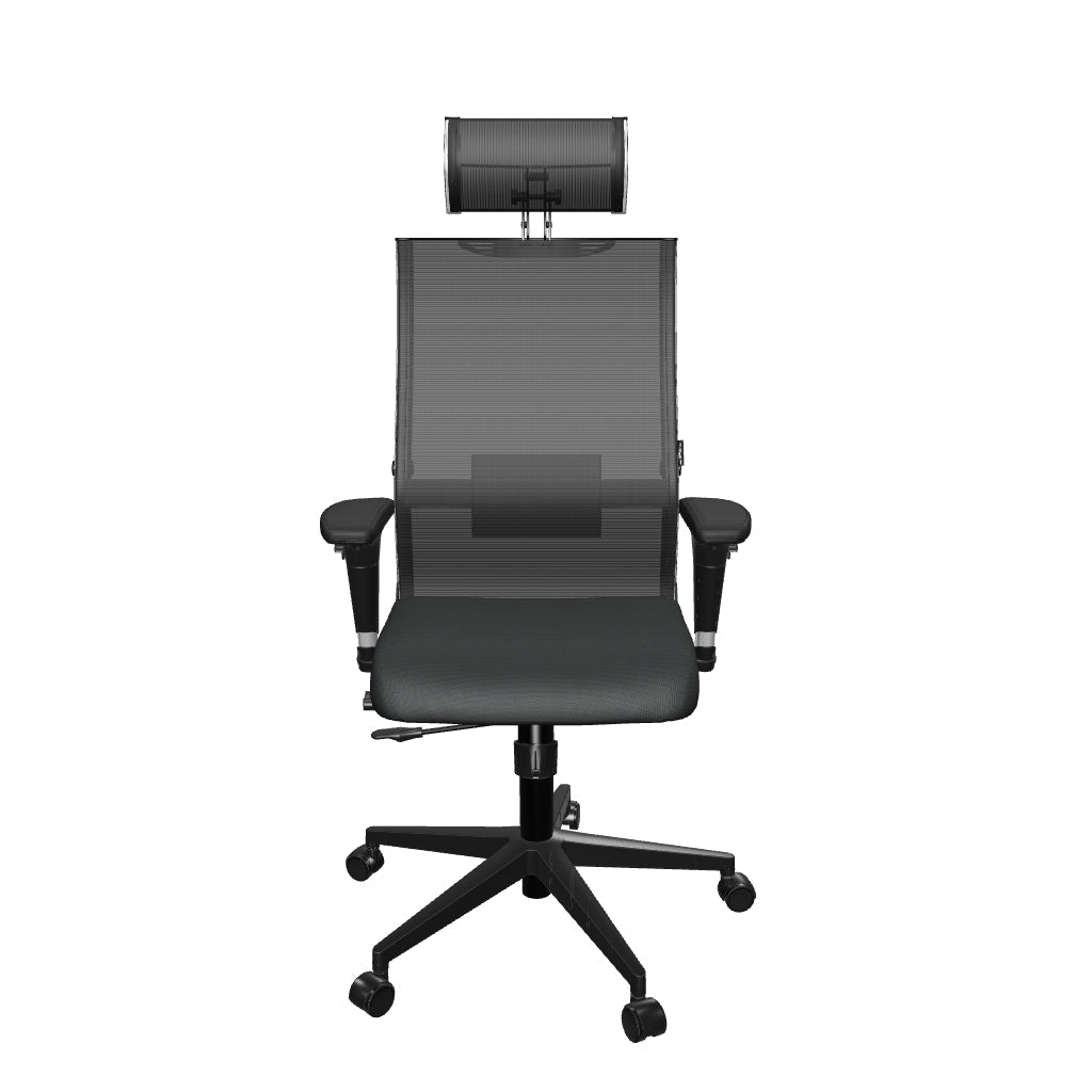 Metal Frame Ergo 5 Executive Chair SynchroSit Air 24/7 B2-287D - Italy+UMF(X1)